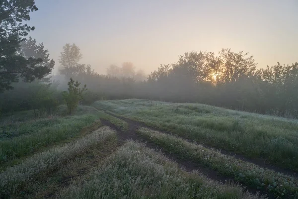 Inizio Primavera Mattina Alba Sul Lago Una Foschia Nebbiosa Pensierosa — Foto Stock