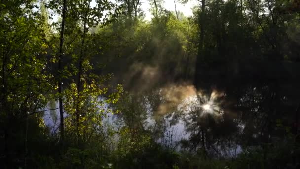 Wczesną Wiosną Poranny Świt Nad Jeziorem Mglistej Przemyślanej Mgle Piękny — Wideo stockowe