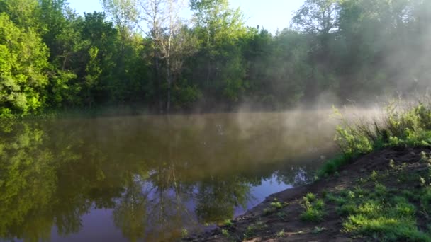 Inizio Primavera Mattina Alba Sul Lago Una Foschia Nebbiosa Pensierosa — Video Stock