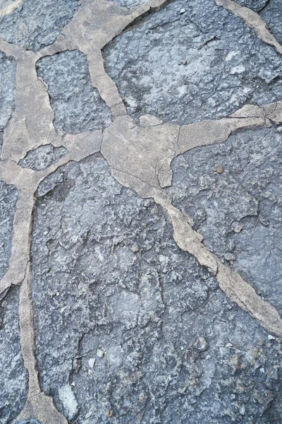 Una Pared Hecha Piedras Naturales Madera Diferentes Tamaños Formas Una — Foto de Stock