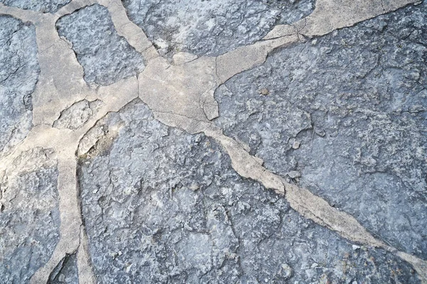 Una Pared Hecha Piedras Naturales Madera Diferentes Tamaños Formas Una — Foto de Stock