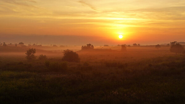 Colorful sunset, dawn over a wheat field. A warm summer evening.