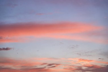 Gün batımında parlayan parlak ışık bulutlarıyla güzel bir akşam masmavi gökyüzü. Gün batımında sıcak bir yaz akşamı. Parlak gün batımı.