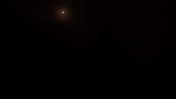 Noční Obloha Lese Tajgy Měsíc Probouzí Nočními Mraky — Stock video