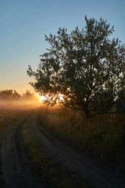 Sonbahar geldi. Nehrin üzerinde sisli, kara kara düşünen bir sis içinde şafak. Sabahın erken saatlerinde sisle kaplı güzel bir orman ve nehir manzarası. Güneş ışınları..