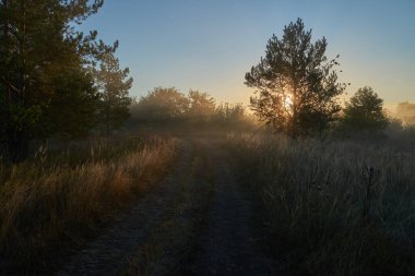 Sonbahar geldi. Nehrin üzerinde sisli, kara kara düşünen bir sis içinde şafak. Sabahın erken saatlerinde sisle kaplı güzel bir orman ve nehir manzarası. Güneş ışınları..