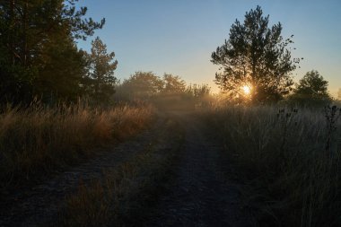 Sonbahar geldi. Nehrin üzerinde sisli, kara kara düşünen bir sis içinde şafak. Sabahın erken saatlerinde sisle kaplı güzel bir orman ve nehir manzarası. Güneş ışınları..
