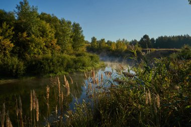 Sonbahar geldi. Nehrin üzerinde sisli, kara kara düşünen bir sis içinde şafak. Sabahın erken saatlerinde sisle kaplı güzel bir orman ve nehir manzarası. Güneş ışınları..