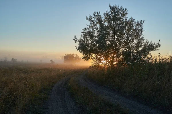 Ora Autunno Alba Sul Fiume Una Foschia Nebbiosa Covata Bella — Foto Stock