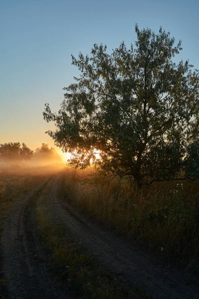Sonbahar geldi. Nehrin üzerinde sisli, kara kara düşünen bir sis içinde şafak. Sabahın erken saatlerinde sisle kaplı güzel bir orman ve nehir manzarası. Güneş ışınları..
