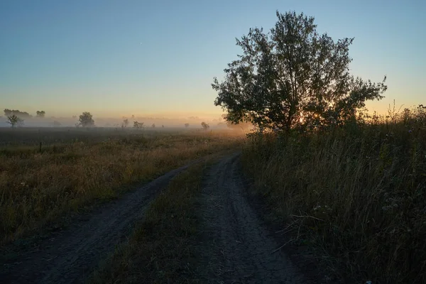 Ora Autunno Alba Sul Fiume Una Foschia Nebbiosa Covata Bella — Foto Stock