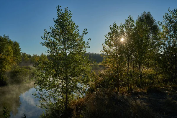 Sonbahar Geldi Nehrin Üzerinde Sisli Kara Kara Düşünen Bir Sis — Stok fotoğraf