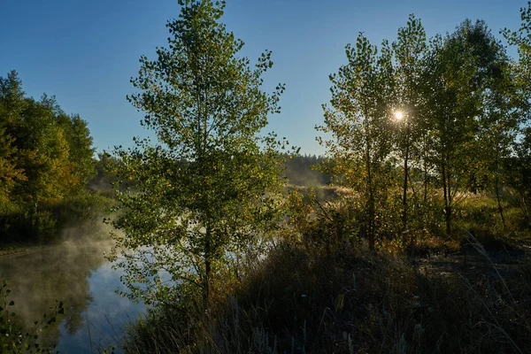 Ora Autunno Alba Sul Fiume Una Foschia Nebbiosa Covata Bella — Foto Stock