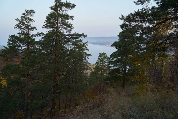 Vista Otoño Desde Montaña Hasta Gran Río Bosque Con Hojas — Foto de Stock