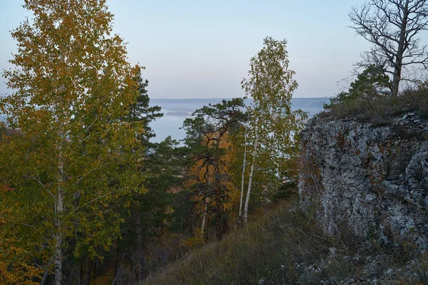 Осенний Вид Горы Большую Реку Лесу Золотыми Листьями Зелеными Елками — стоковое фото