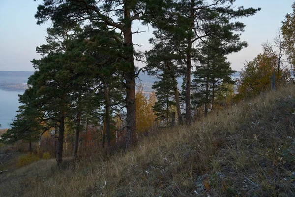 Vista Otoño Desde Montaña Hasta Gran Río Bosque Con Hojas — Foto de Stock