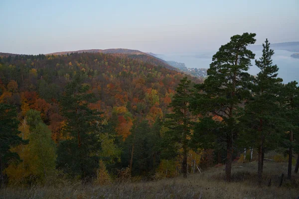 Vista Otoño Desde Montaña Hasta Gran Río Bosque Con Hojas — Foto de Stock