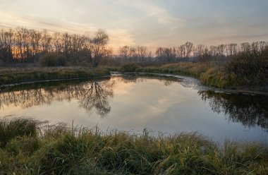 Gölün sonbahar manzarası, ormanda altın yapraklarla. Ormanda sonbahar zamanı. Sonbahar.