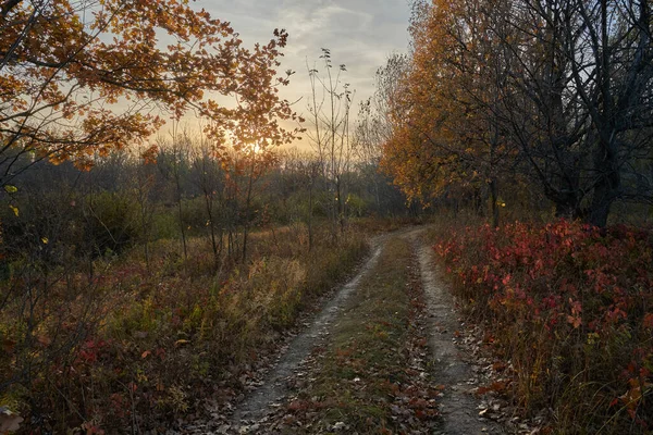 Jesienny Widok Jezioro Lesie Złotymi Liśćmi Jesień Lesie — Zdjęcie stockowe