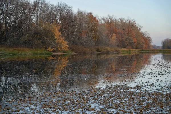 Vue Automne Sur Lac Dans Forêt Aux Feuilles Dorées Automne — Photo