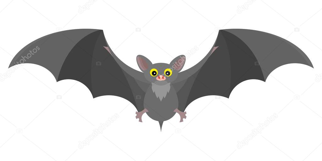 gray mystical bat flat fabulous interesting