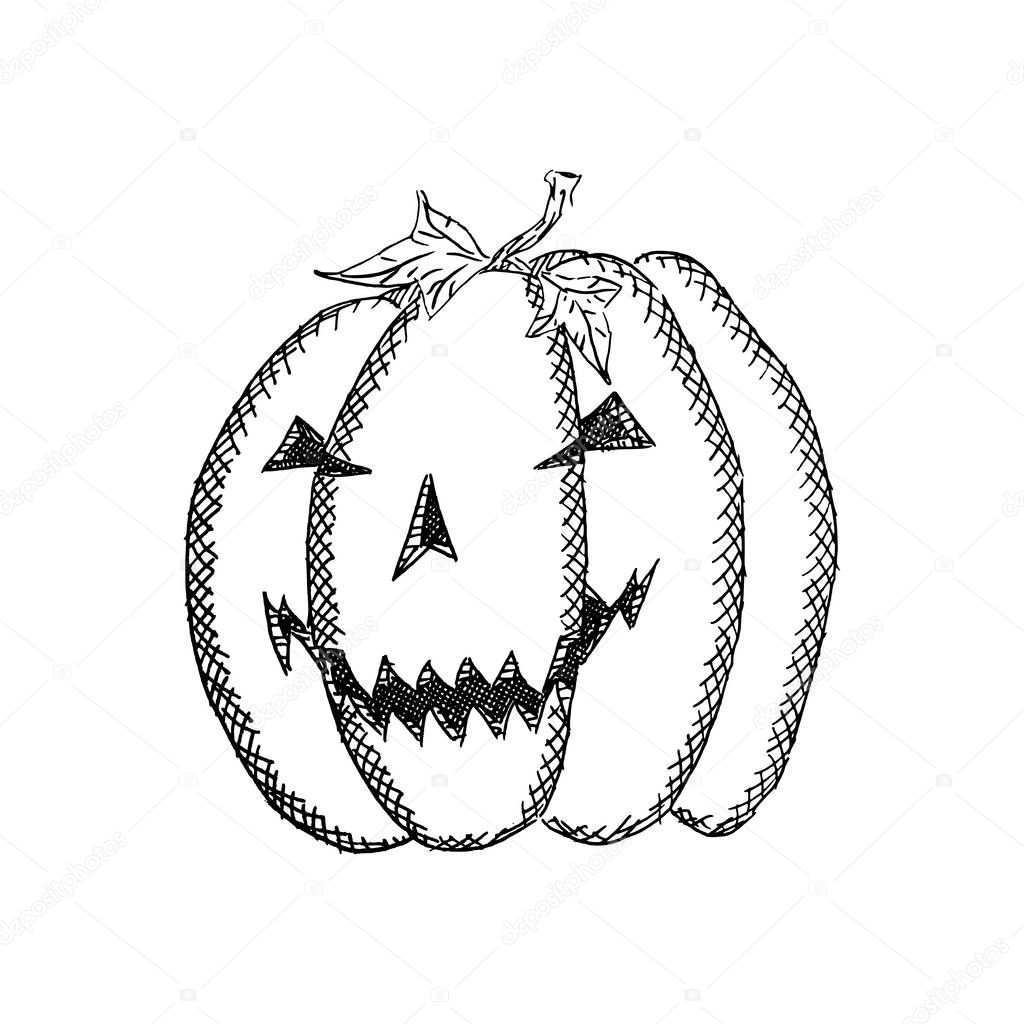 round malicious pumpkin with a smile sketch drawing. stock vector illustration
