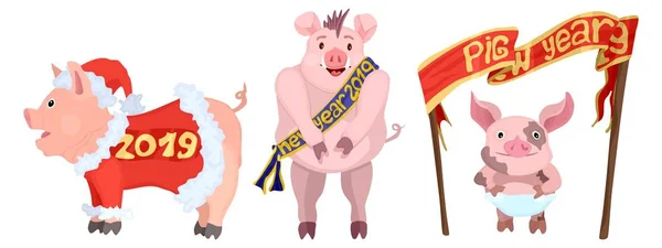 Nova Seleção Brilhante Três Porcos Ano Novo — Vetor de Stock