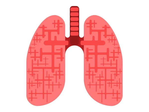 Människans Lungor Orgel Dras Platt Stil Vit Bakgrund — Stock vektor
