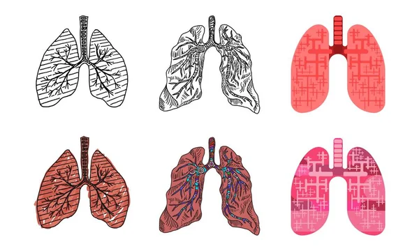 Ritningar av mänskliga lungor i olika stilar av ritning — Stock vektor