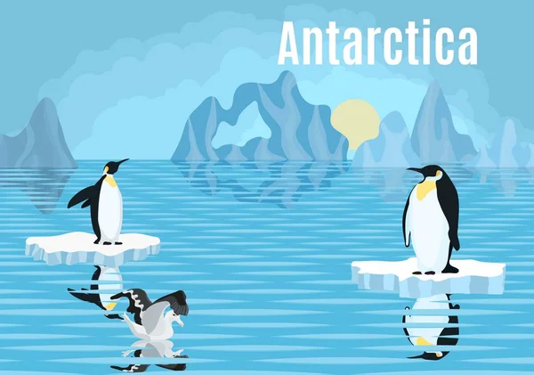 Affisch pingviner på isberg Antarktis Albatross ny — Stock vektor