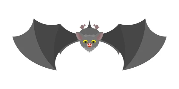 Gray bat cartoon platte stijl geïsoleerd op witte achtergrond — Stockvector