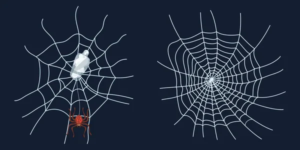蜘蛛网蜘蛛和猎物爬行昆虫新 — 图库矢量图片