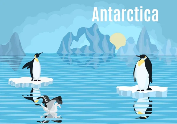 Pingüinos póster en albatros iceberg antarctica —  Fotos de Stock