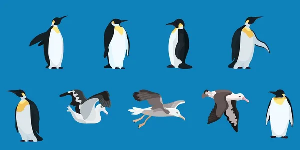 Albatrosses and penguins compilation flat style — стоковое фото