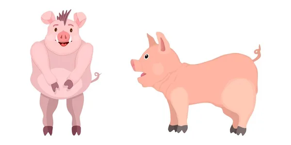 Selection of cartoon pigs. drawing mascots of the year — Stock Photo, Image