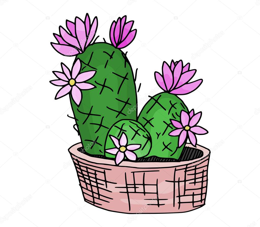 bright cactus sketch drawing vector. illustration with flowers