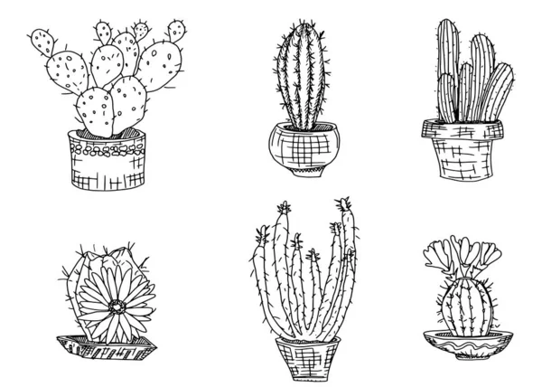 Plantas Cacti Desenho Branco Simples Desenho Doodle Ilustração Imagem — Fotografia de Stock