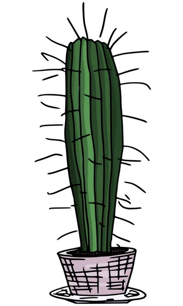 Dlouhý Kaktus Hrnci Talíři Vektor Kresby Doodle — Stockový vektor