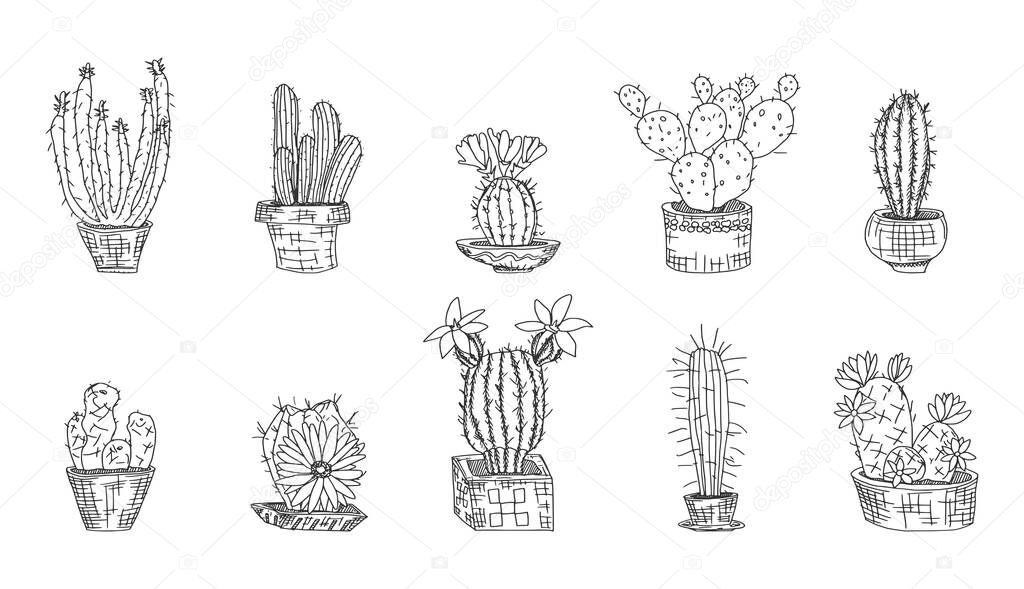 selection of cacti on a white background. Doodle sketch vector.