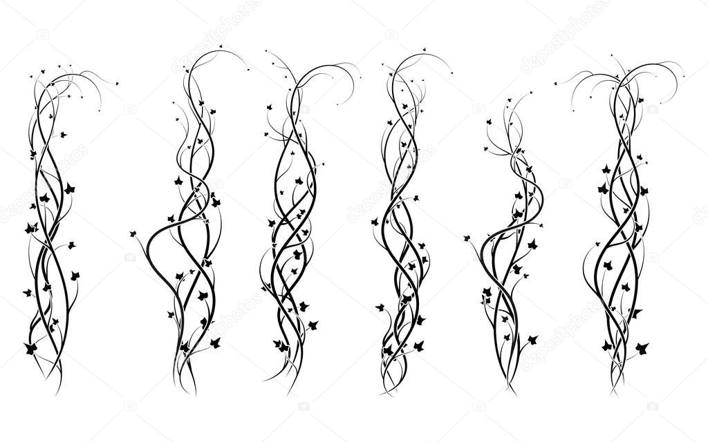 weaving curls plants ivy decoration ornament new version vector