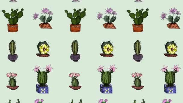 kaktuszfirka rajzok háttér kép. animációs videó felvételek