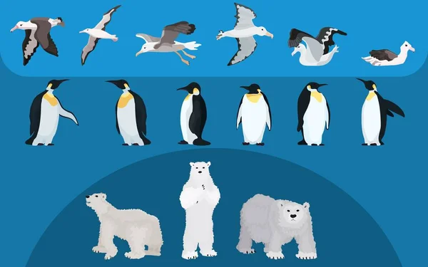 Seleção Animais Norte Albatrozes Pinguins Ursos Estilo Plano —  Vetores de Stock