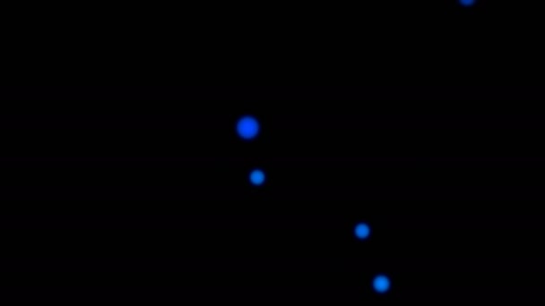 Stilvoller Hintergrund Mit Schwarm Verschwommener Blauer Lichter Auf Schwarz — Stockvideo