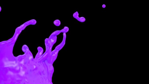 Close View Splashing Purple Color Slow Motion Isolated Black — Stock Video