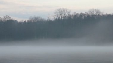 Arka planda orman ile nehir üzerinde yoğun sis