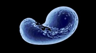 Soyut mavi parlayan sıvı sıçramaları ve siyah arka plan üzerinde izole, dönmeye devam ediyor. 