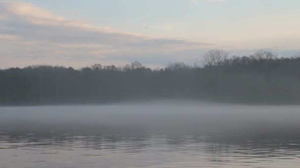 Prachtige Natuur Scène Van Een Mistige Rivier Avond — Stockvideo