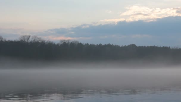 Rustige Natuur Scène Van Mistig River Side Avond — Stockvideo