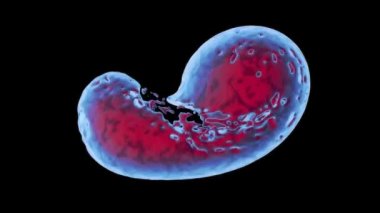 Soyut kırmızı ve mavi parlayan sıvı sıçrayan ve dönen, siyah izole