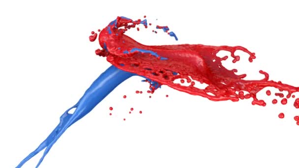 Blue Red Paint Splashes Collide Slow Motion Isolated White Background — Stock Video